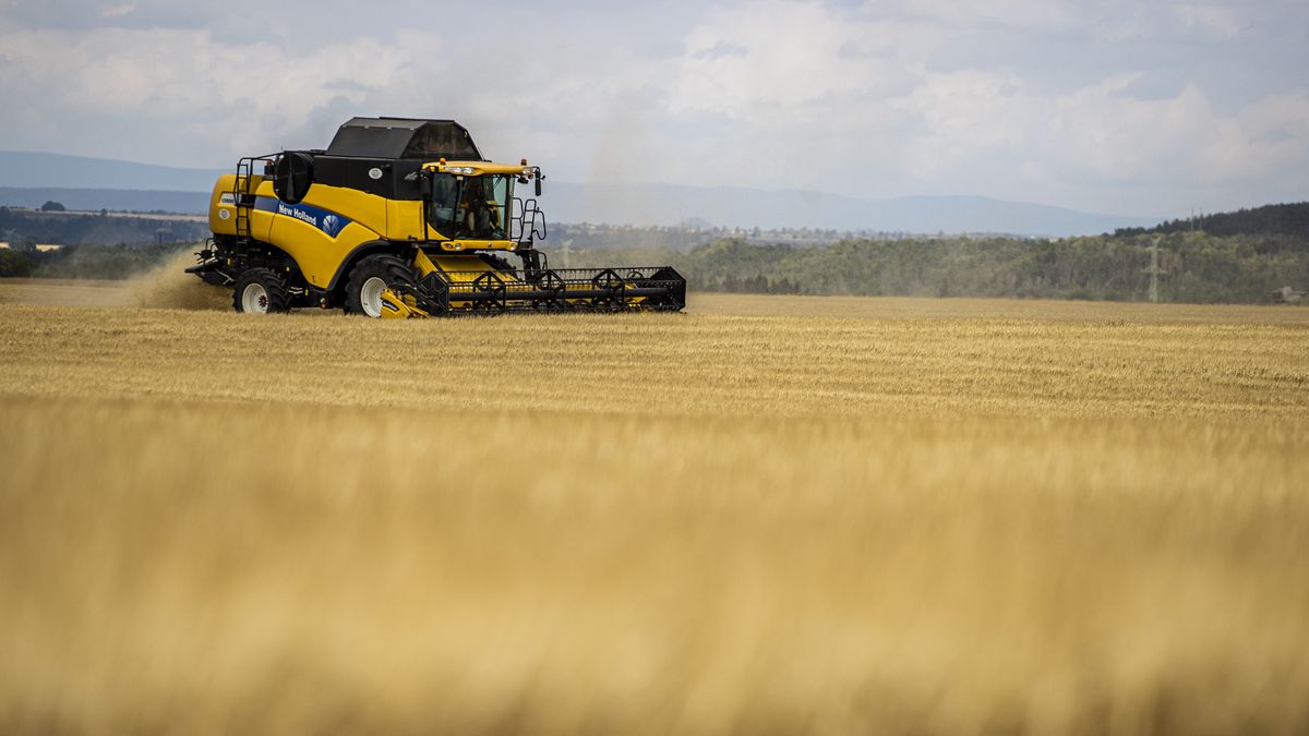 Ukrajina si stěžuje na Slovensko, Polsko a Maďarsko. Kvůli zákazu dovozu obilí